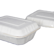 eco-friendly 8inch ToGo Food packaging made from sugar cane bagasse